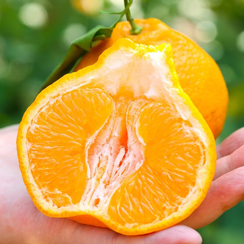 耙耙柑精品特大果80#+ 12个左右 5斤彩箱装高清大图