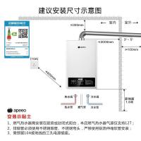 apeeo 10升燃气热水器JSQ19-FY-6335天然气家用支持智能恒温功能CO报警水气双调强排式热水器