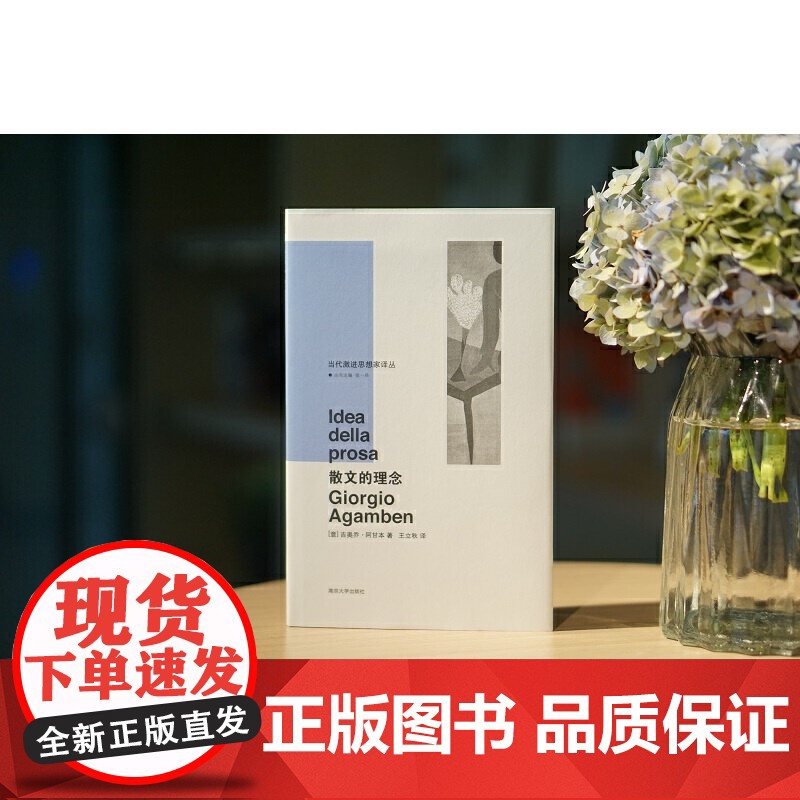 (当代激进思想家译丛)散文的理念 吉奥乔·阿甘本 南京大学出版社 正版书籍高清大图