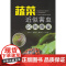 蔬菜近似害虫识别图鉴