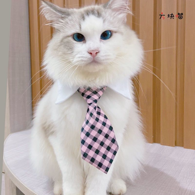 宠物领带猫咪项圈狗狗领结猫猫配饰帅气英伦风项链小猫咪绅士领带 粉色格纹 S码(7斤以内)