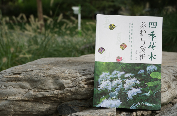 [醉染正版]正版 四季花木养护与赏析 120种花草树木花赏析 花卉培育与鉴赏书籍 常见植物识别与鉴赏 养花书籍园艺花艺师高清大图