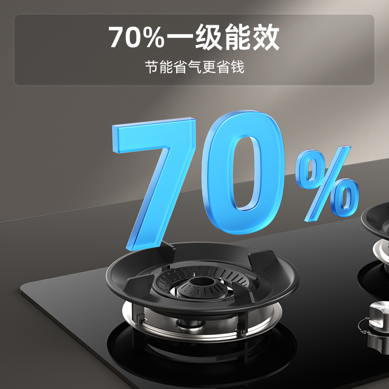 迅达灶具家用双灶70%热效率猛火燃气灶D1(液化气)高清大图