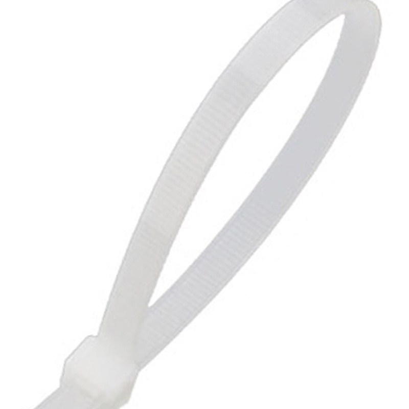 苏识 3GB2.5mm*120mm*100根 扎带 (计价单位:包) 白色高清大图