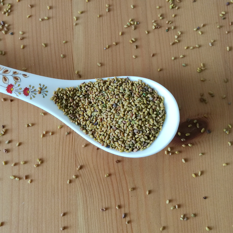 符象紫花苜蓿种子食用芽苗菜三叶饲料金花菜头四季牧种籽苜蓿净仔5斤
