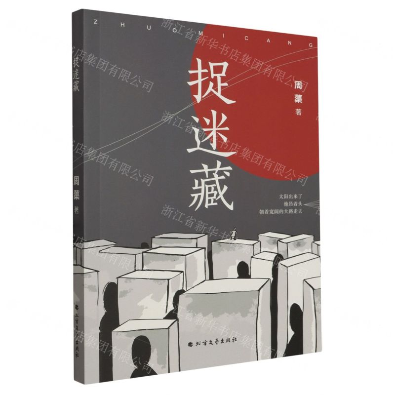 [N]捉迷藏-9787531758570高清大图