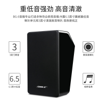 狮乐(SHILE)AV108/BG-6会议音响组合套装培训室店铺背景音乐蓝牙功放音箱会议系统