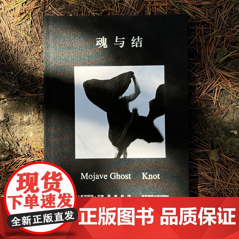 魂与结 独角兽文库 布面精装 美国当代著名诗人 普利策诗歌奖得主弗罗斯特·甘德新作合集 华东师范大学出版社高清大图