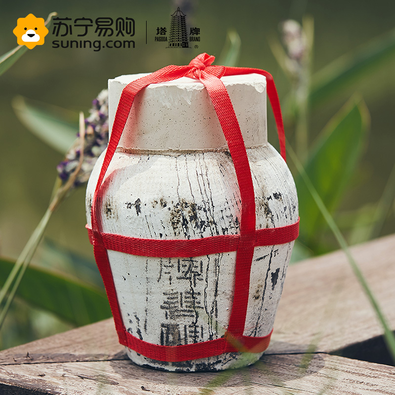 塔牌黄酒善酿酒5L坛装半甜型手工冬酿糯米酒老酒绍兴特产黄酒