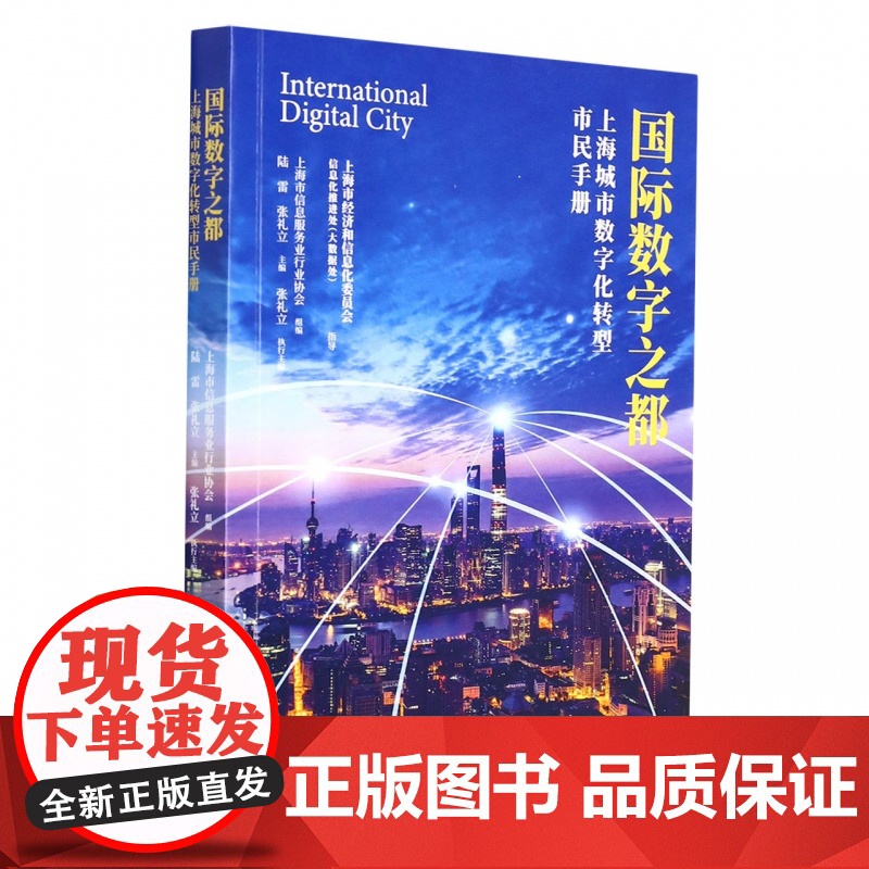 国际数字之都高清大图