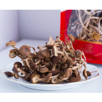 山海小将 茶树菇250g