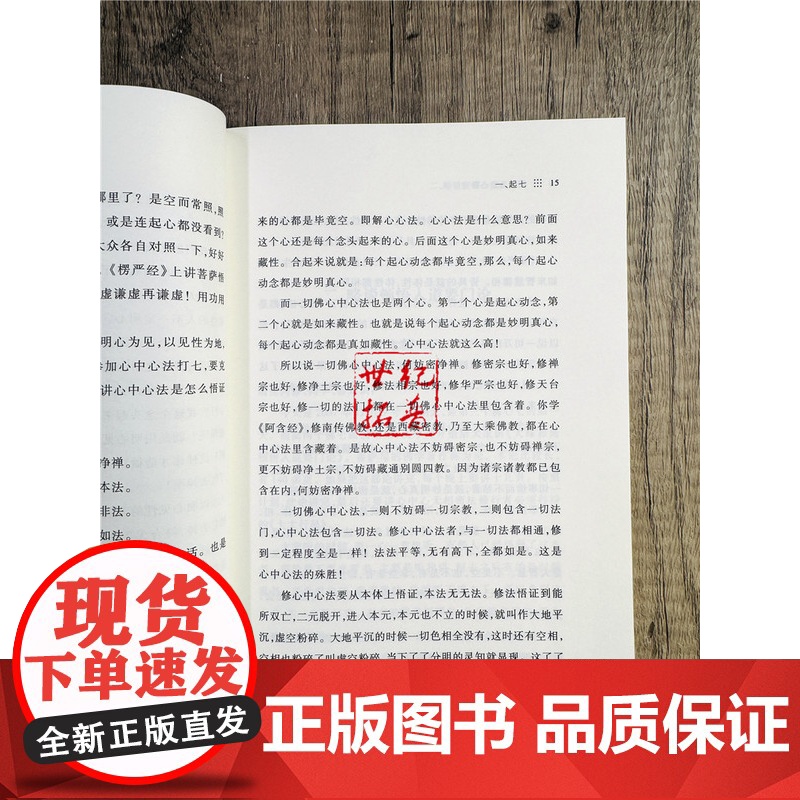 顿悟入道心要-灵岩说法 常济乘一法师/著 宗教文化出版社佛教书籍宗教知识读本佛学研究高清大图