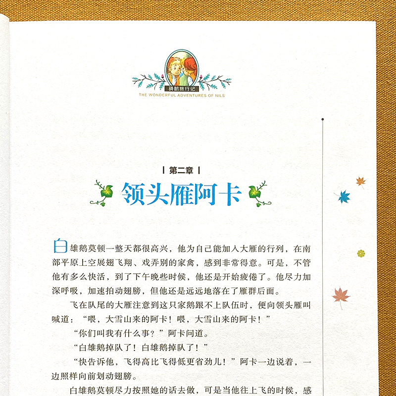 骑鹅旅行记 [正版]国际大奖骑鹅旅行记高清大图