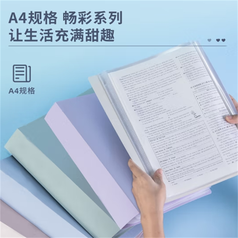 得力72672 文件夹整理袋 / 30页资料册 / 颜色随机(1个)(定制)高清大图