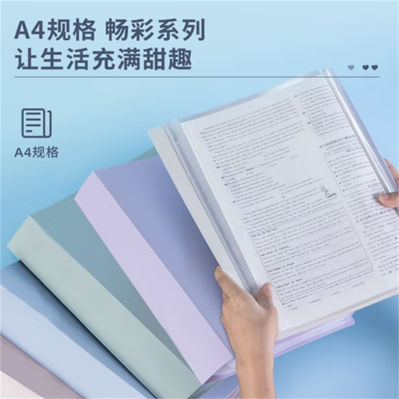 得力72672 文件夹整理袋 / 30页资料册 / 颜色随机(1个)(定制)
