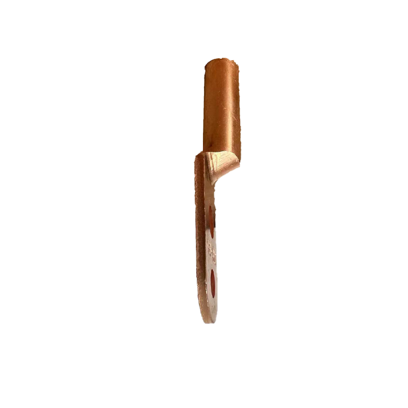 傻实在 铜鼻子 DTS 95mm² 个高清大图