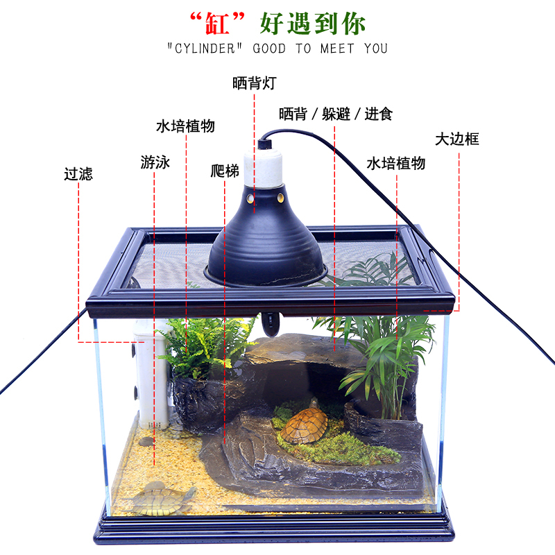 龟缸带盖子造景套装乌龟别墅玻璃缸防越狱乌龟缸带晒台大号专用缸