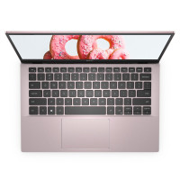 戴尔(DELL)新款2020 灵越5301 （十一代i5-1135G7 16GB 512GB MX350/2G ）13.3英寸IPS全高清轻薄本全面屏办公设计本笔记本电脑 定制版