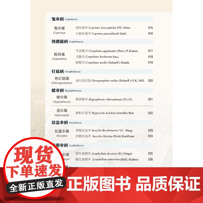 北京松山国家级自然保护区菌类图谱 盖立新 田恒玖 范雅倩 31028-5 北京松山国家级自然保护区生物多样性系列丛书高清大图