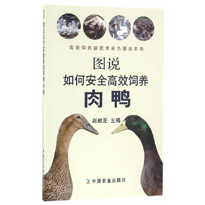 [醉染正版]图说如何安全高效饲养肉鸭 养鸭饲养鸭技术揭秘设备养鹅鸭疾病快速诊治防治大全生态高效养殖技术家禽养殖书籍养鸭技高清大图
