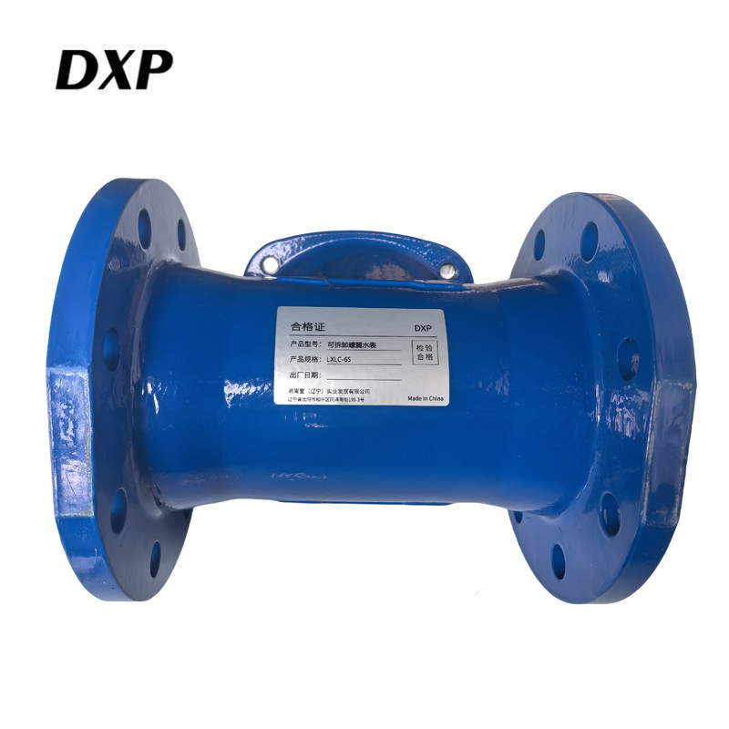 DXP 可拆卸螺翼水表 LXLC-65 块高清大图