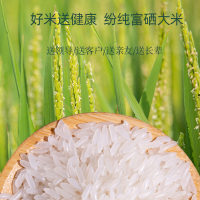 纷纯 纯香富硒大米营养健康软糯可口中长粒大米当季新米籼米真空包装袋装