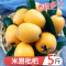 星派果米易枇杷带箱3/5斤装新鲜孕妇水果五星琵琶果现摘当季整箱顺丰