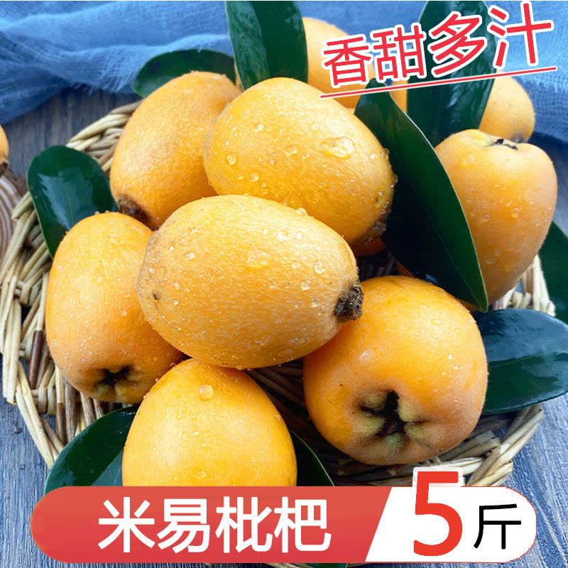 星派果米易枇杷带箱3/5斤装新鲜孕妇水果五星琵琶果现摘当季整箱顺丰图片