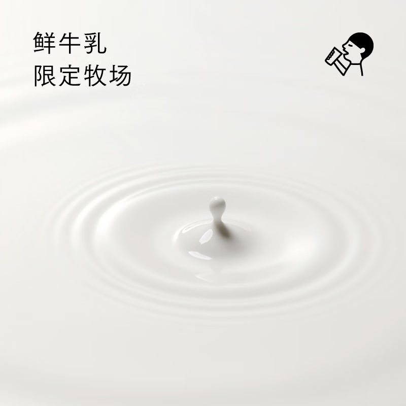 喜茶茉莉浓抹牛乳茶奶茶饮料350ml*10瓶高清大图