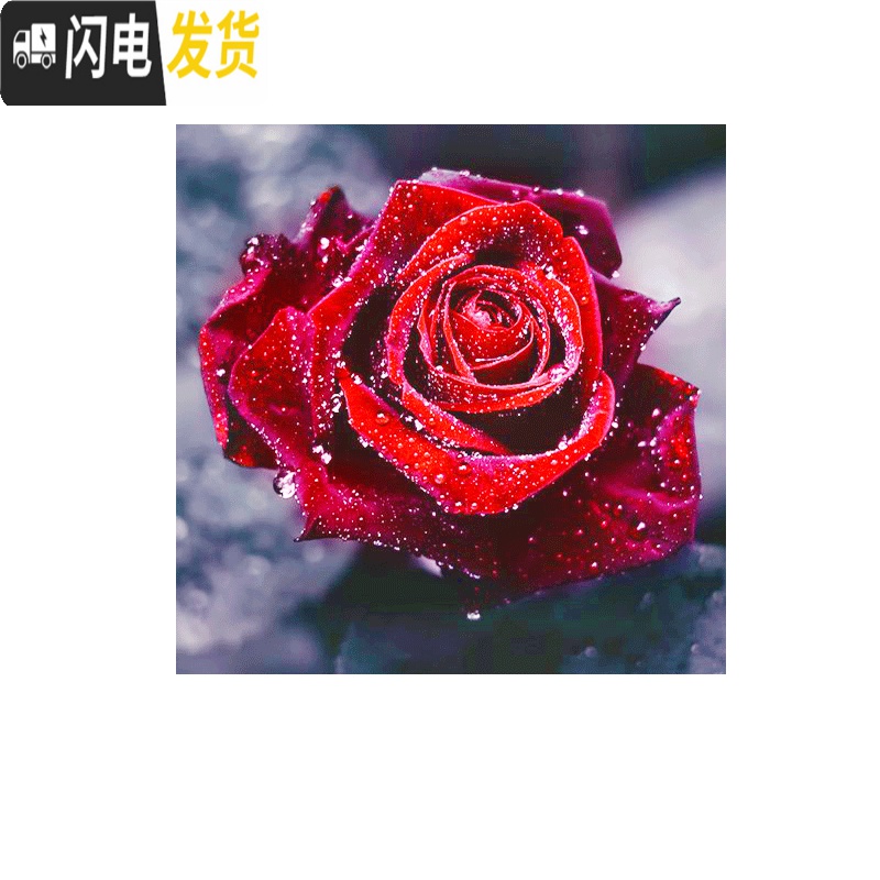 三维工匠2020新款5D钻石画客厅满钻玫瑰简单自己绣十字绣粘贴异形 [满钻全贴30*30厘米]异形钻钻多301套工具包高清大图