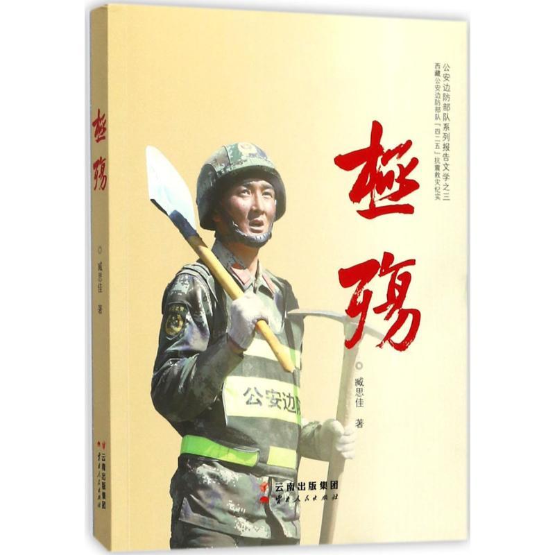 正版新书】极殇臧思佳9787222163966