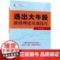 选出大牛股(波浪理论实战技巧)/理财学院戈岩实战操盘系列