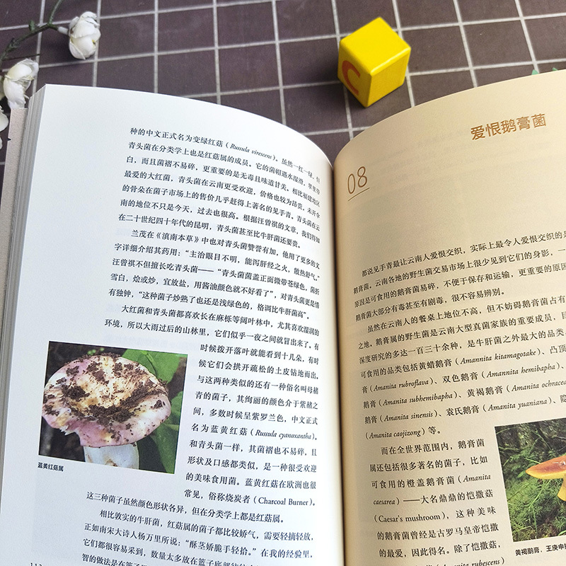 [正版]食菌记:识菌、拾菌、食菌的山林记忆。从云南到北京,二十年拾菌专业户的菌类笔记 饮食文化 蘑菇 菌子 的历史文化