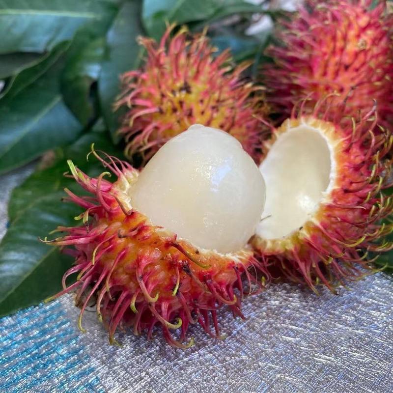 湛航 泰国红毛丹新鲜水果毛荔枝 现摘毛丹当季热带毛丹果