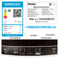 海尔(Haier)8公斤 直驱变频 家用全自动 波轮洗衣机 小型洗衣机 水压电压双宽 漂甩二合一 EB80BM029