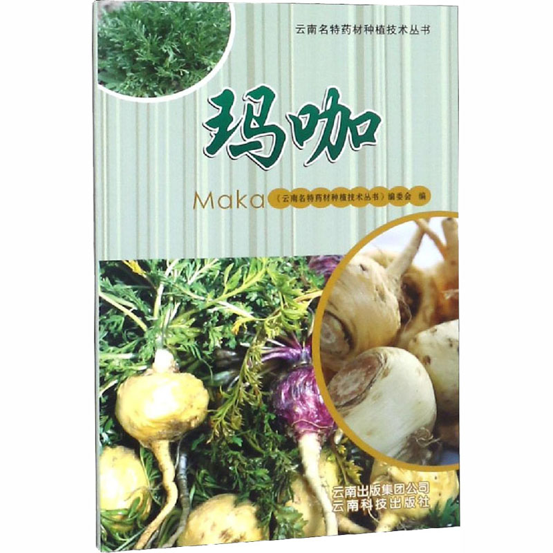 【M】玛咖-9787541689611