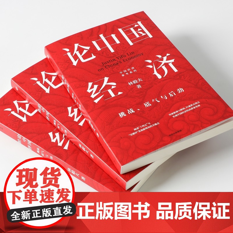 论中国经济:挑战、底气与后劲 林毅夫 著 中信出版社 突破瓶颈与障碍 打通淤点堵点 实现中国经济的高质量发展高清大图