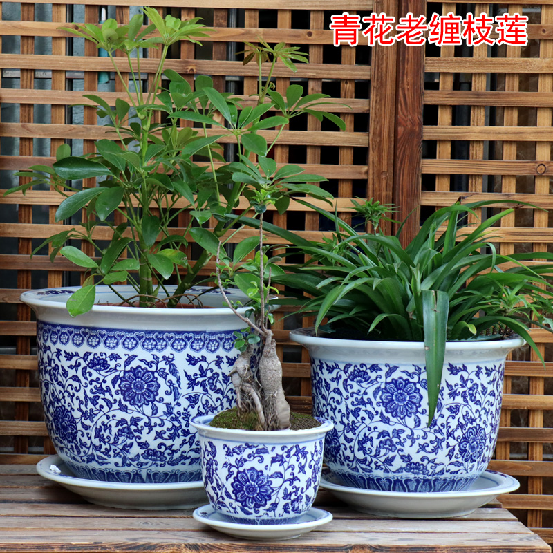陶瓷青花瓷花盆特大号铁树盆阳台水培古达盆栽方形家用青花老缠枝