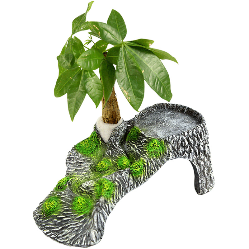 养龟用具 乌龟水龟晒背台 巴西龟龟爬坡浮台 吸盘摆放两用晒台