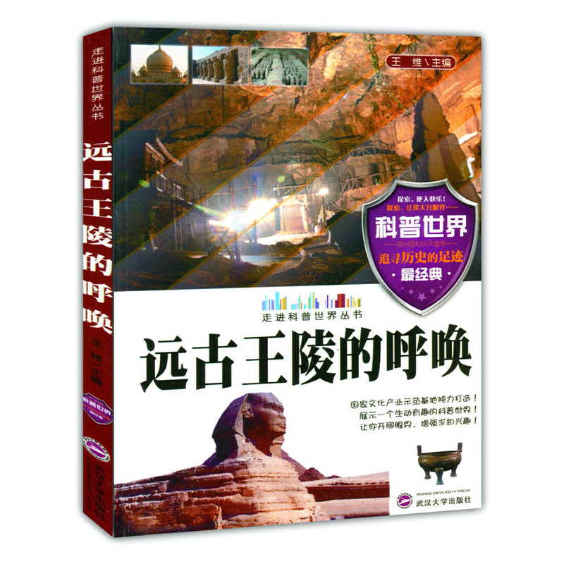 正版新书】远古王陵的呼唤王维 主编9787307109537