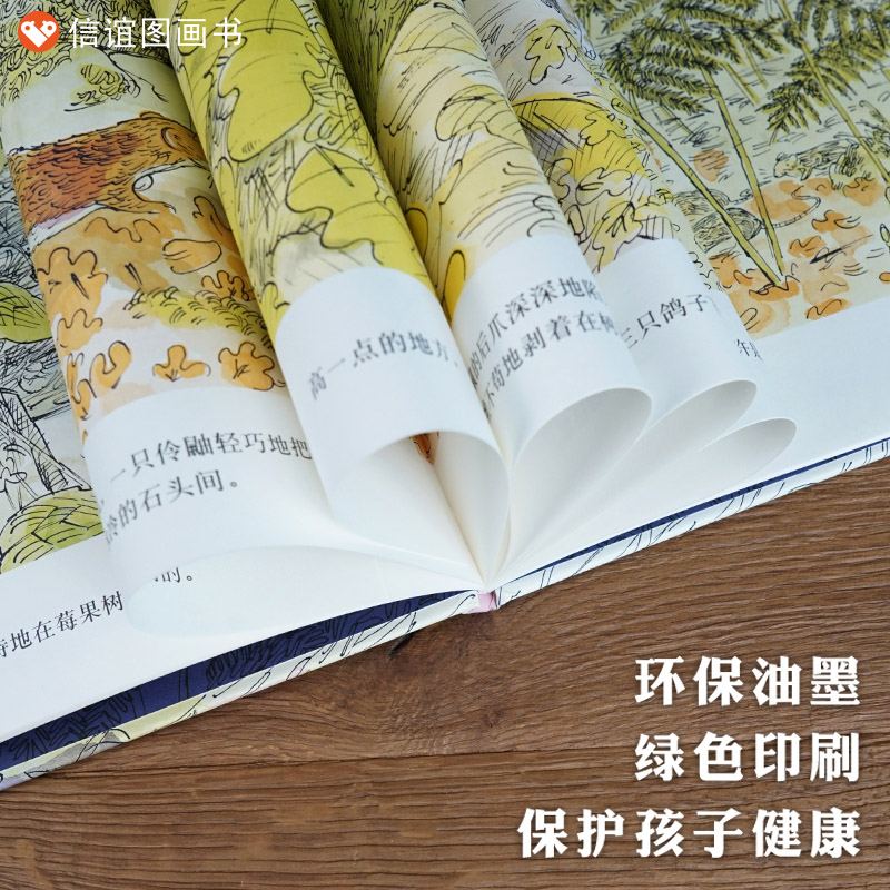 单本全册 [正版]森林硬壳精装绘本世界精选图画书系列信谊让孩子亲近自然欣赏自然尊重自然的图画书童书3岁4岁5岁6岁幼儿园高清大图