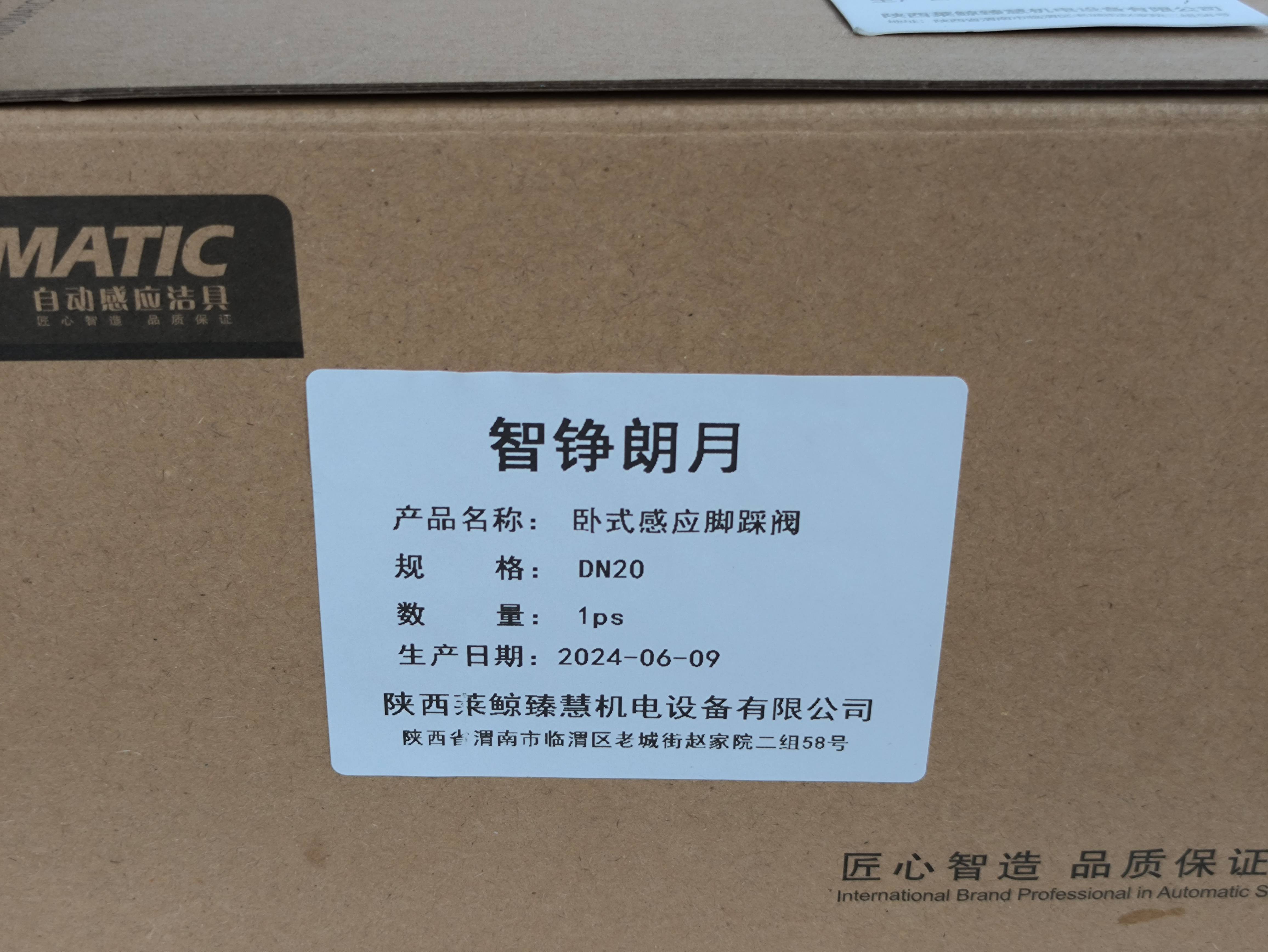 智铮朗月 卧式感应脚踩阀 DN20 个高清大图