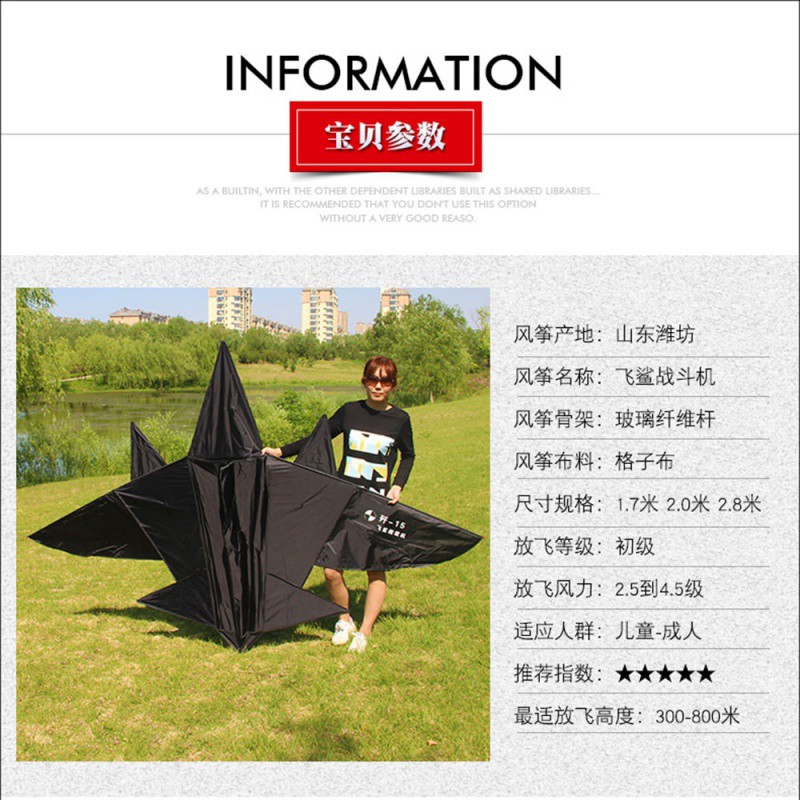 飞鲨战斗机歼15 大型微风易飞成人儿童风筝飞机 风筝线轮创意 三维工匠 3.0米大战斗机高清大图