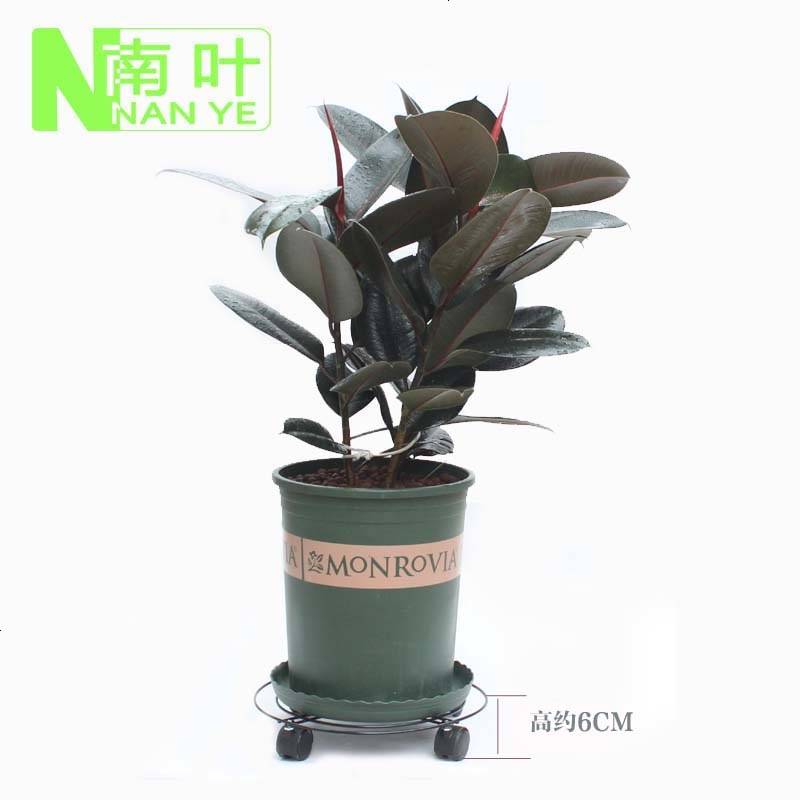 移动花架 移动铁架 花盆托盘 花盆底座 移动托盘 2个包邮
