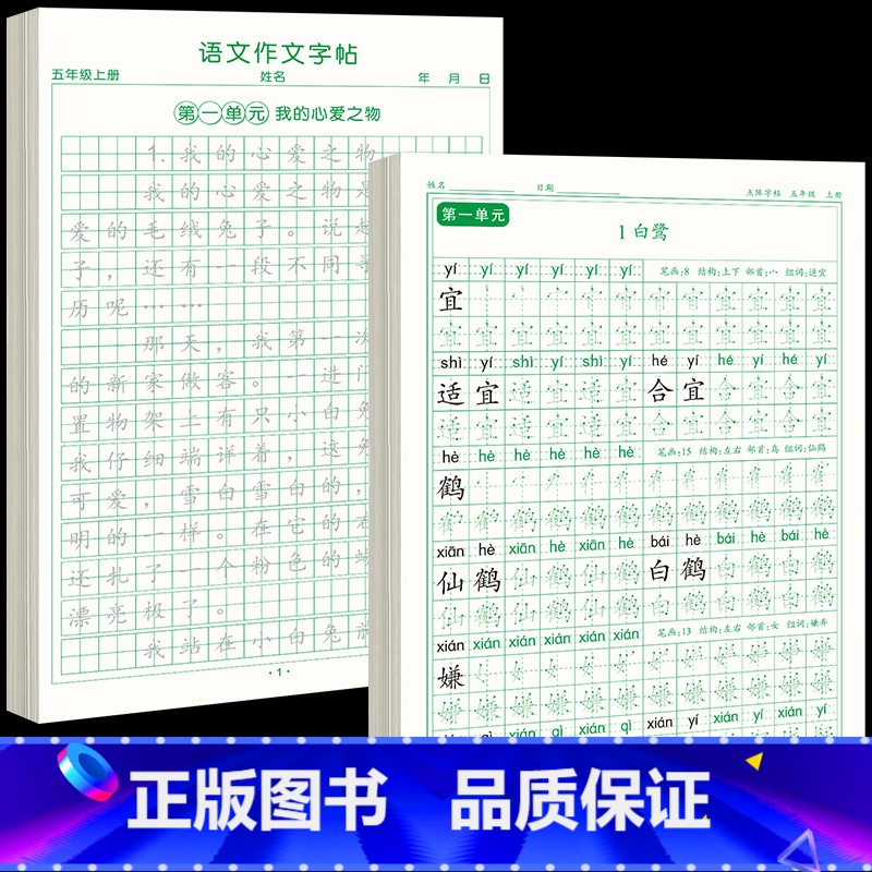 [上册]同步字帖5上+同步作文字帖 [正版]五年级上册字帖语文同步练字帖人教版小学生硬笔书法练字本楷书笔画笔顺儿童铅笔描高清大图