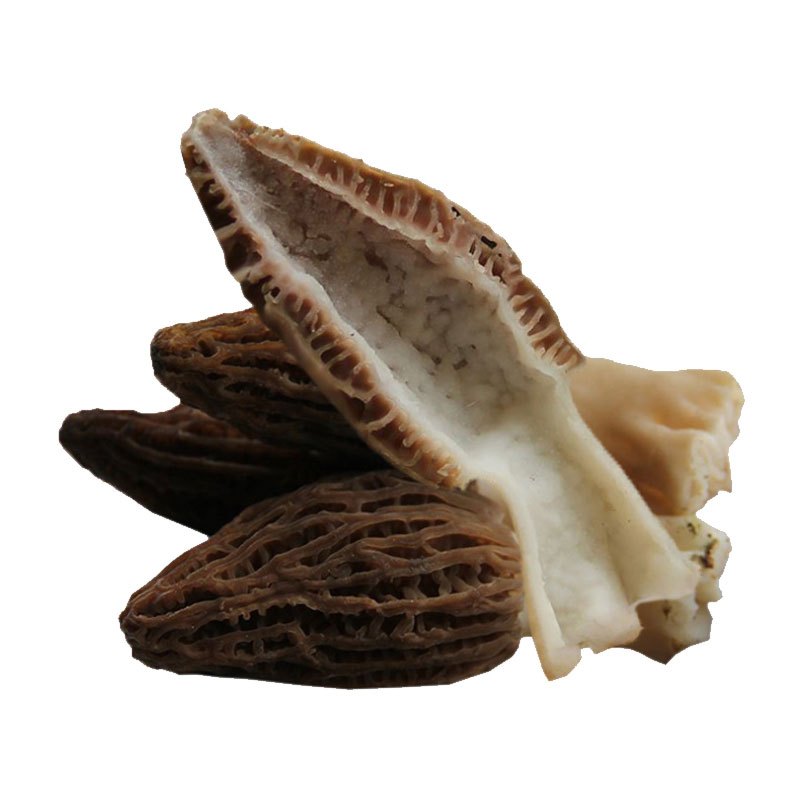 君奕龙美味羊肚菌200g尝鲜装野生四川土特产山珍煲汤滋补食用菌菇