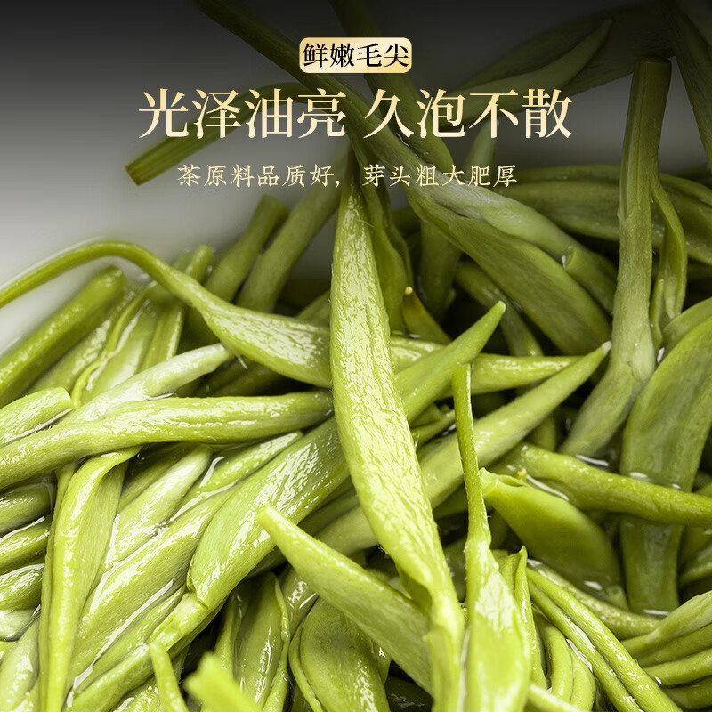 天洲溪品质毛尖天洲溪绿茶信阳毛尖 250g新茶明前采摘 茶叶礼盒装高端新老包装 随机发货高清大图