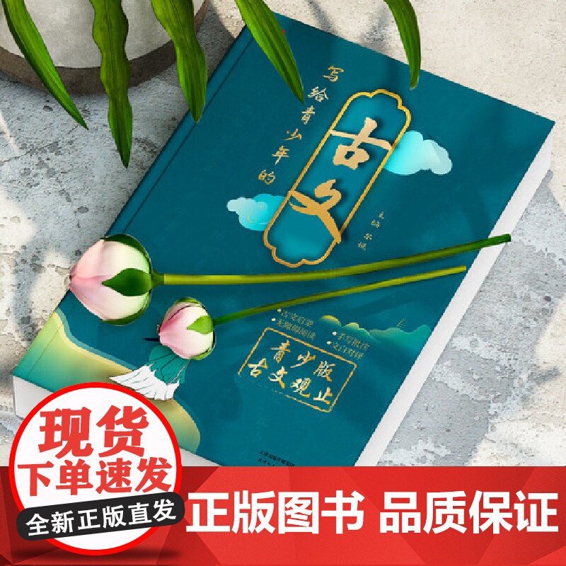 写给青少年的古文 青少版古文观止刘嘉森小学初中高中注音详解注释版中国古诗词诗经大全古文翻译古文观止考点解析高清大图