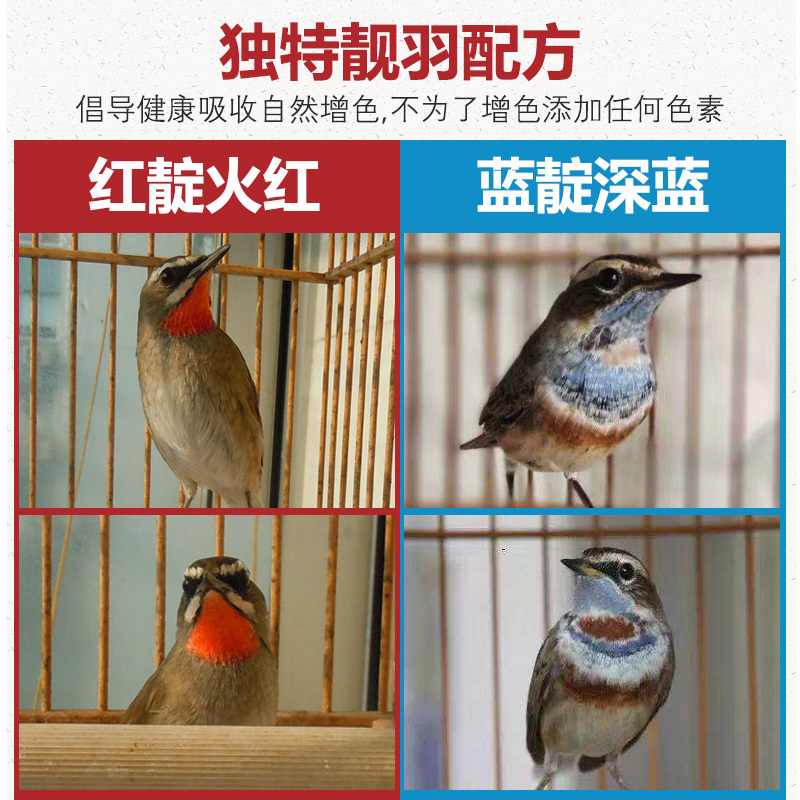靛颏鸟食饲料红蓝灯蓝红点颏相思鸟腾麻雀营养鸟粮食物高清大图