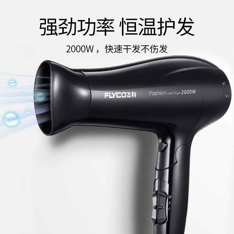 飞 科(FLYCO) 电吹风 FH6231